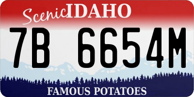 ID license plate 7B6654M