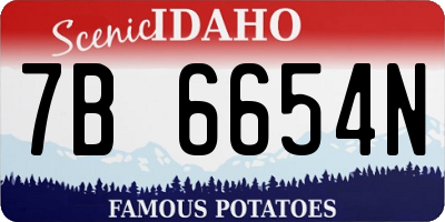 ID license plate 7B6654N