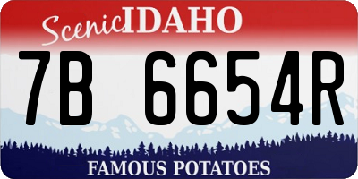 ID license plate 7B6654R