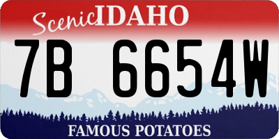 ID license plate 7B6654W