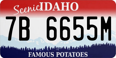 ID license plate 7B6655M