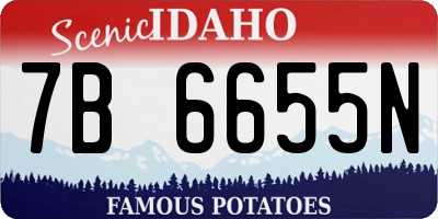 ID license plate 7B6655N
