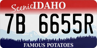 ID license plate 7B6655R