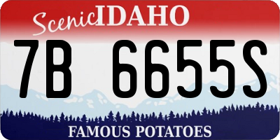 ID license plate 7B6655S