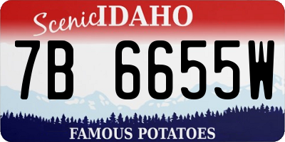 ID license plate 7B6655W