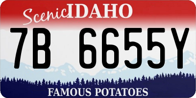 ID license plate 7B6655Y