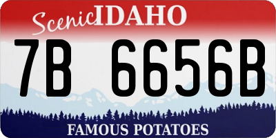 ID license plate 7B6656B