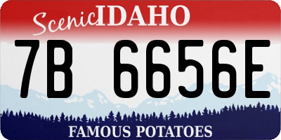 ID license plate 7B6656E