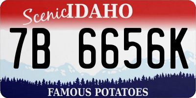 ID license plate 7B6656K