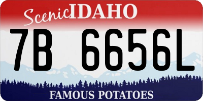 ID license plate 7B6656L