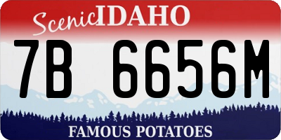 ID license plate 7B6656M
