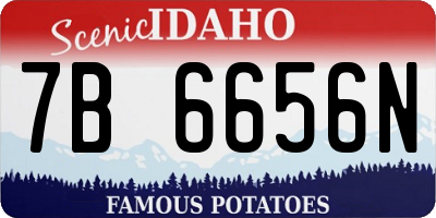 ID license plate 7B6656N