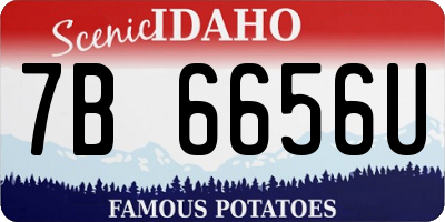 ID license plate 7B6656U