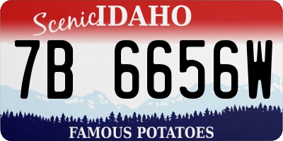 ID license plate 7B6656W