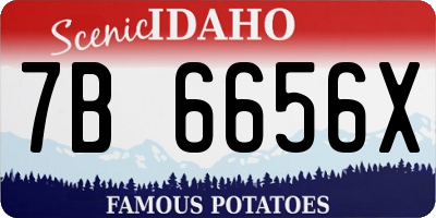 ID license plate 7B6656X