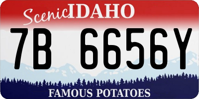 ID license plate 7B6656Y
