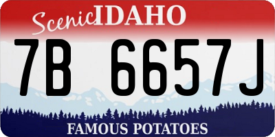 ID license plate 7B6657J