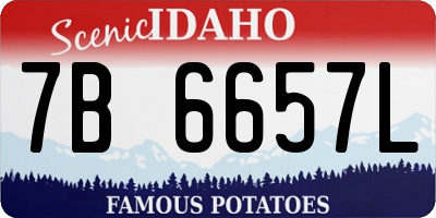 ID license plate 7B6657L