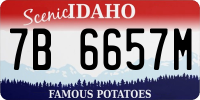 ID license plate 7B6657M
