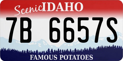 ID license plate 7B6657S