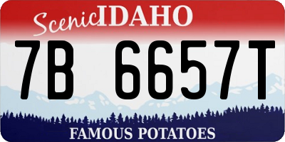 ID license plate 7B6657T