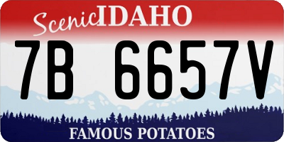 ID license plate 7B6657V
