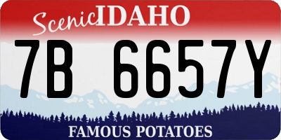 ID license plate 7B6657Y
