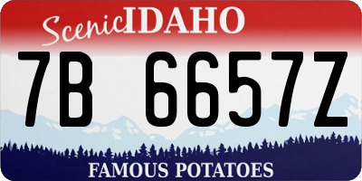ID license plate 7B6657Z