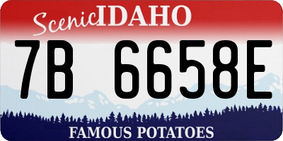 ID license plate 7B6658E