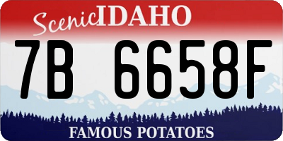 ID license plate 7B6658F