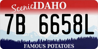 ID license plate 7B6658L