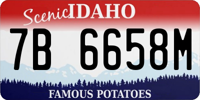 ID license plate 7B6658M