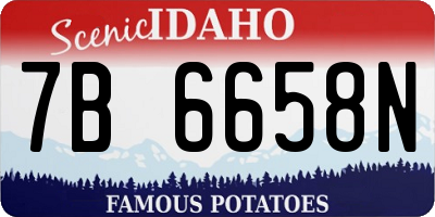 ID license plate 7B6658N