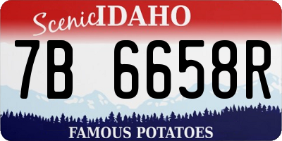 ID license plate 7B6658R