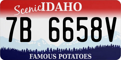 ID license plate 7B6658V