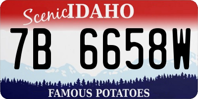 ID license plate 7B6658W