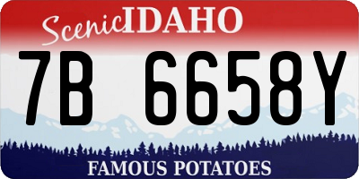 ID license plate 7B6658Y
