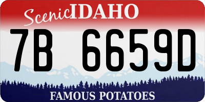 ID license plate 7B6659D