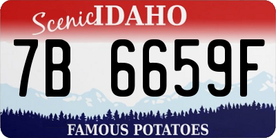 ID license plate 7B6659F
