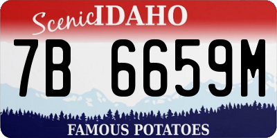 ID license plate 7B6659M