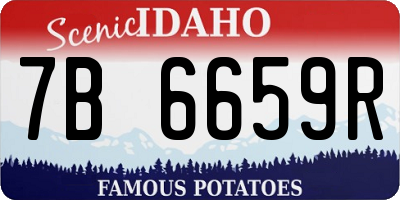 ID license plate 7B6659R