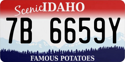 ID license plate 7B6659Y