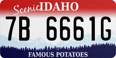 ID license plate 7B6661G