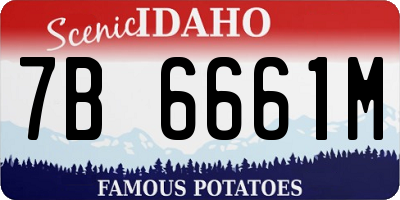 ID license plate 7B6661M