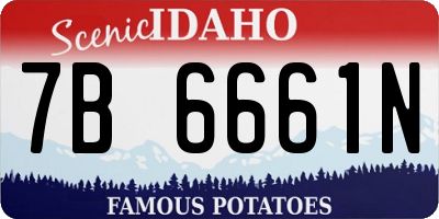 ID license plate 7B6661N