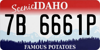 ID license plate 7B6661P