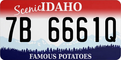 ID license plate 7B6661Q