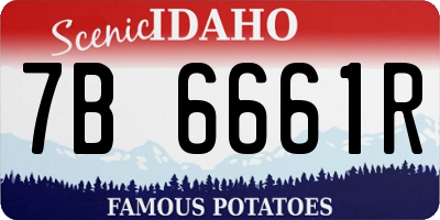 ID license plate 7B6661R