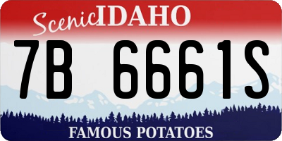 ID license plate 7B6661S
