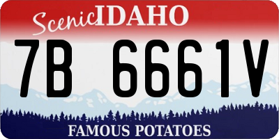 ID license plate 7B6661V